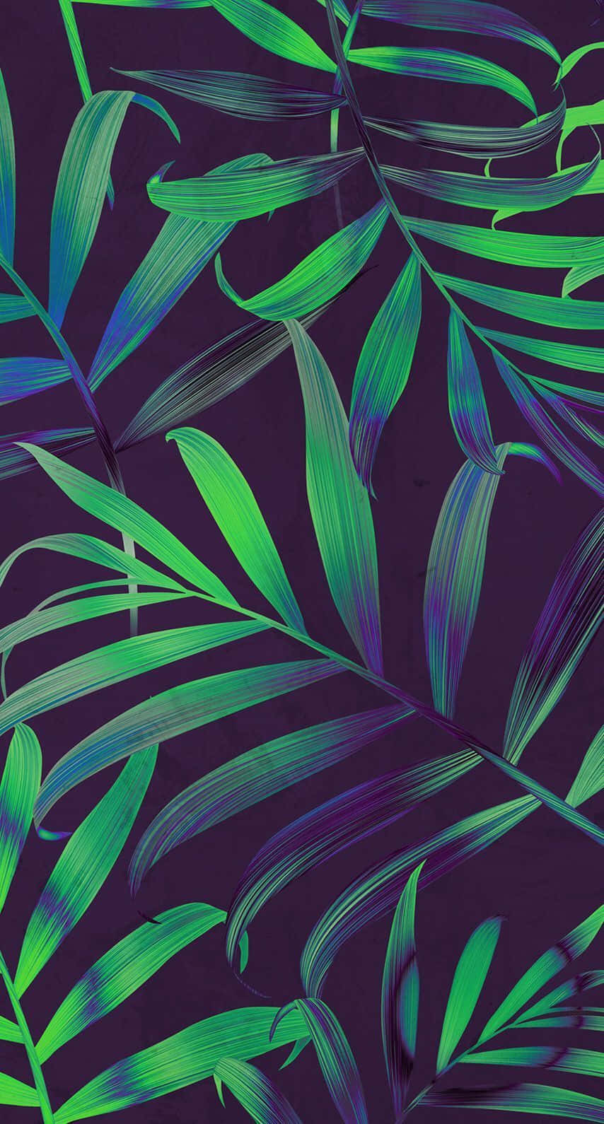 Tropical Aesthetic Kentia Palm Wallpaper