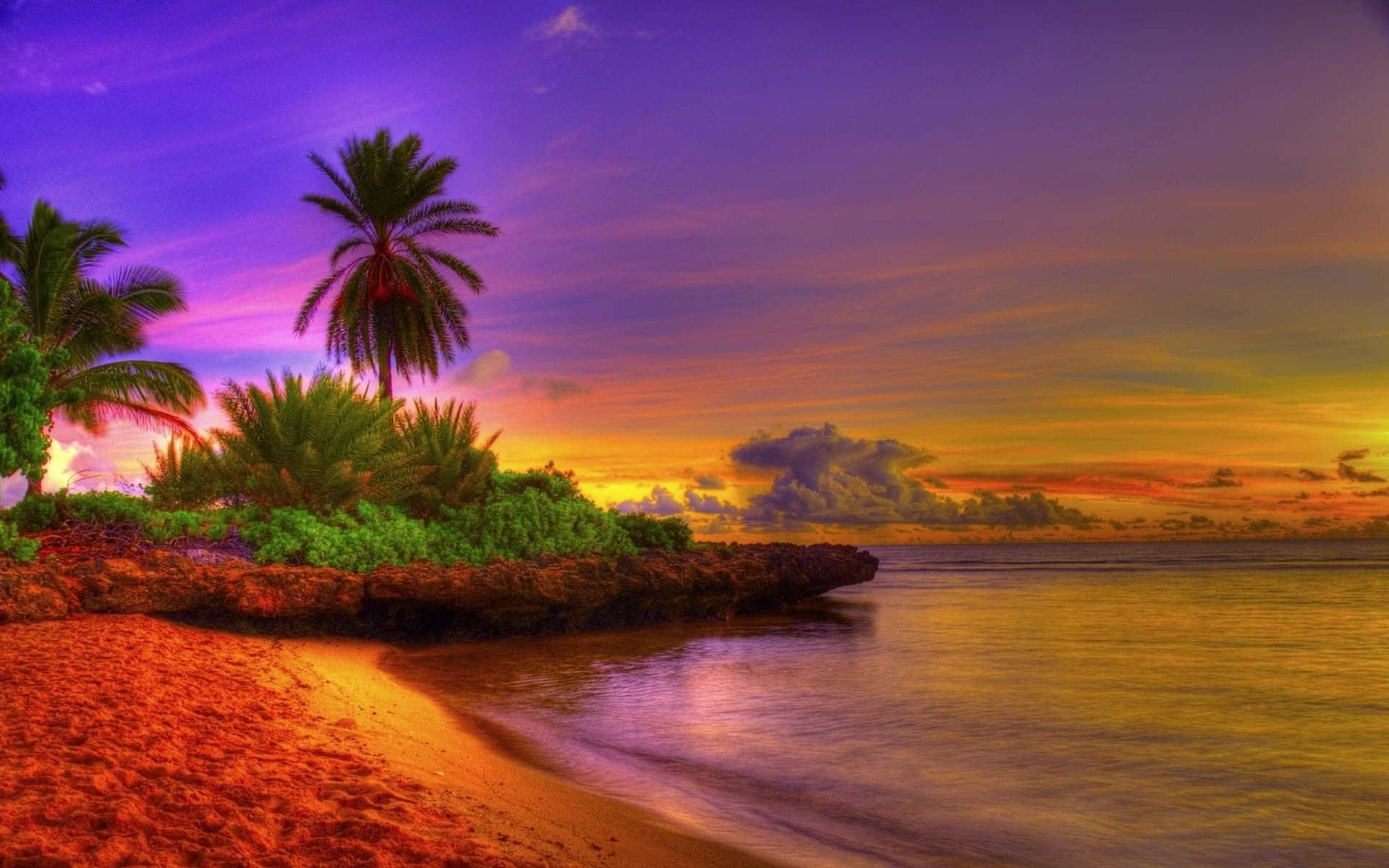 A Colorful Sunset On A Beach With Palm Trees