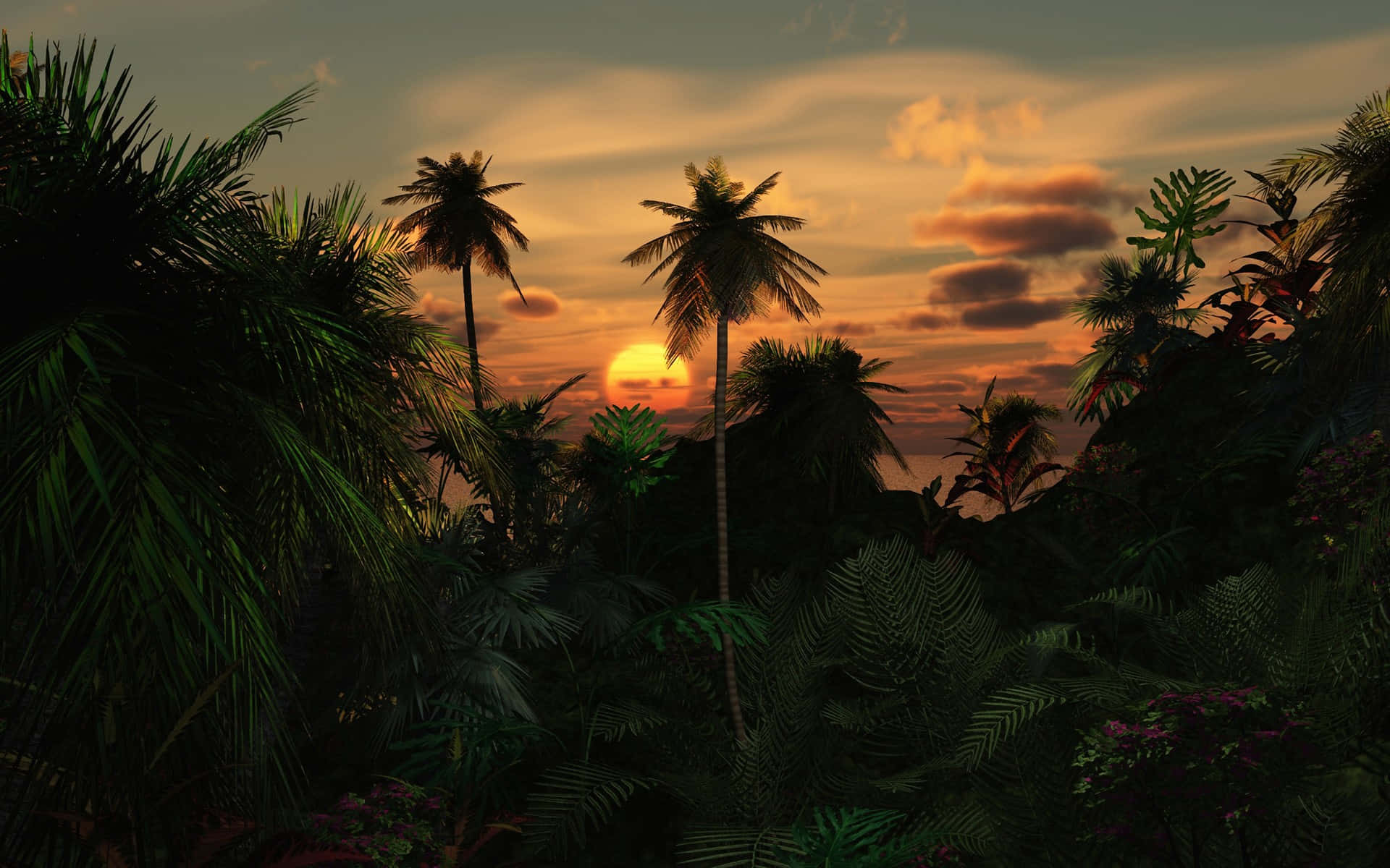 tropical rainforest sunset background