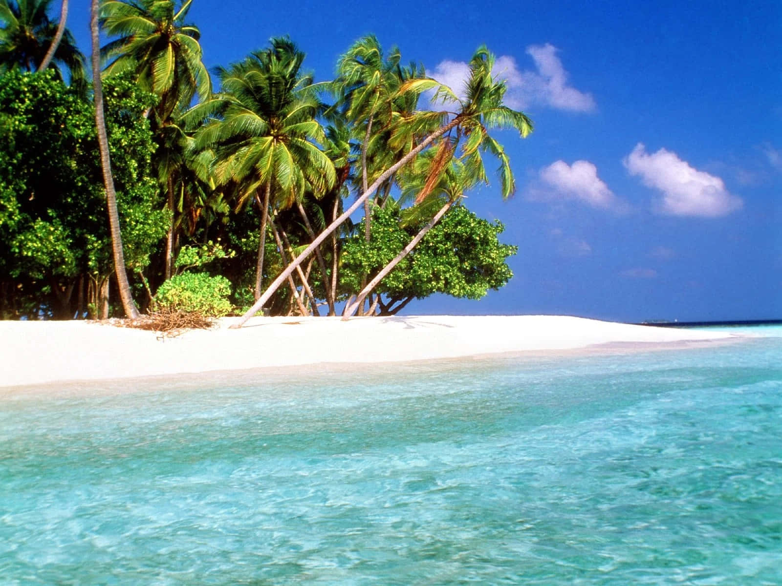 A White Sandy Beach With Palm Trees And Clear Water