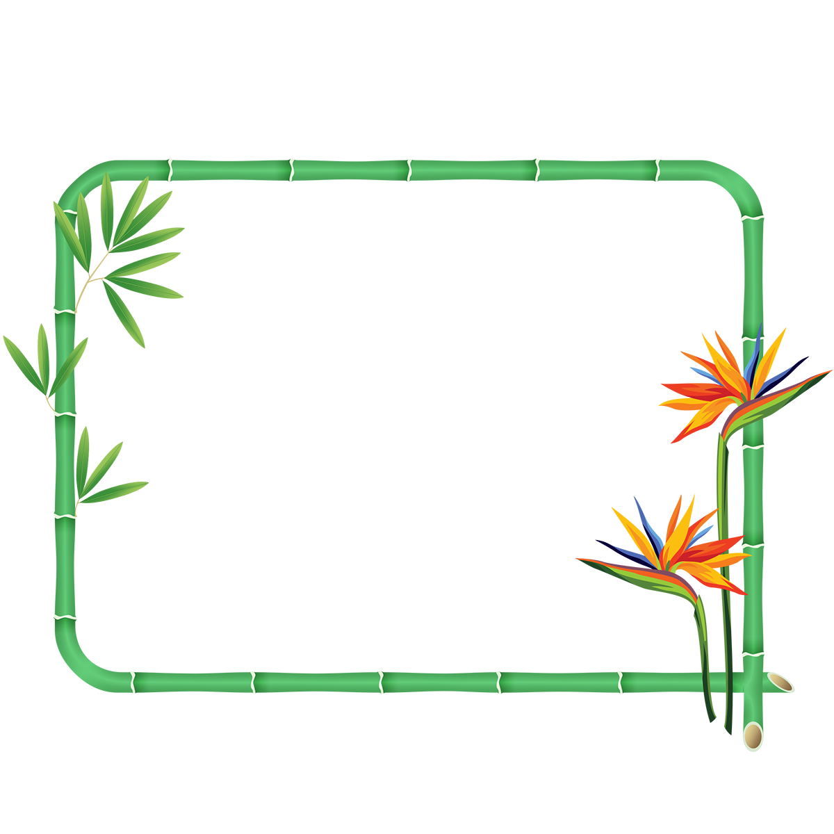 Tropical Bamboo Frame PNG