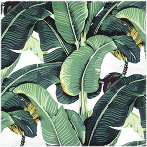 Tropical Banana Leaf Pattern PNG