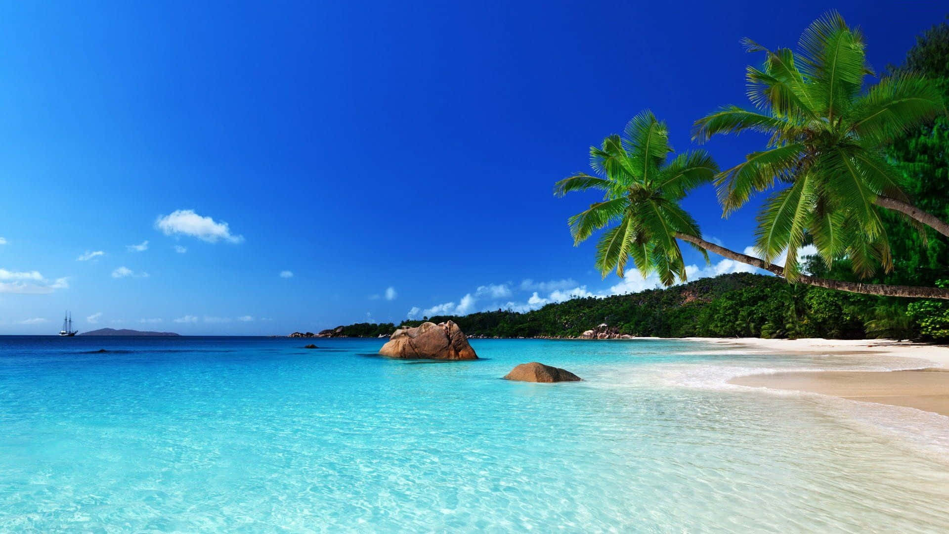 A Beach With Palm Trees And Clear Water
