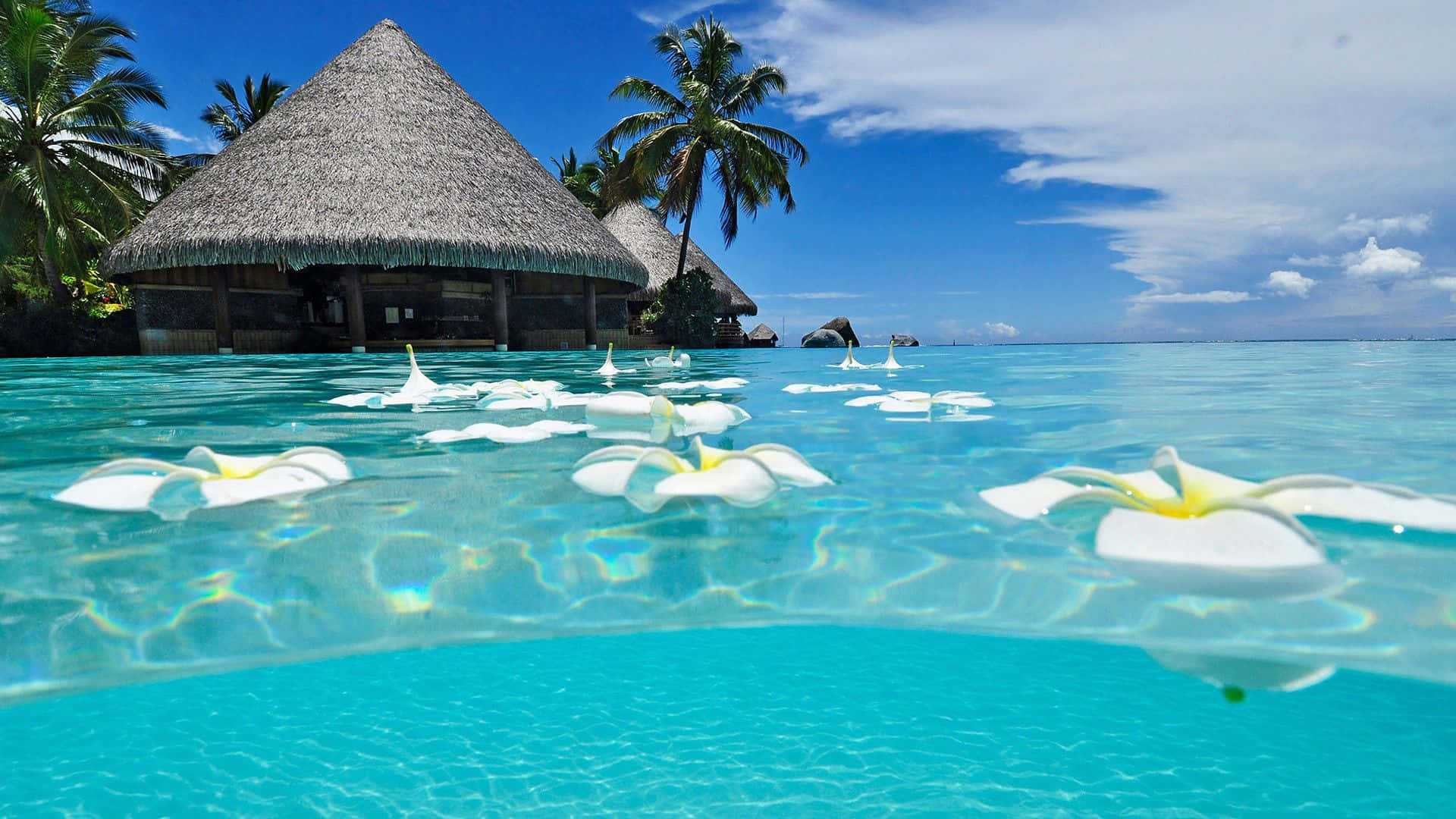Enjoy a Relaxing Day on the Stunningly Beautiful Tropical Beach