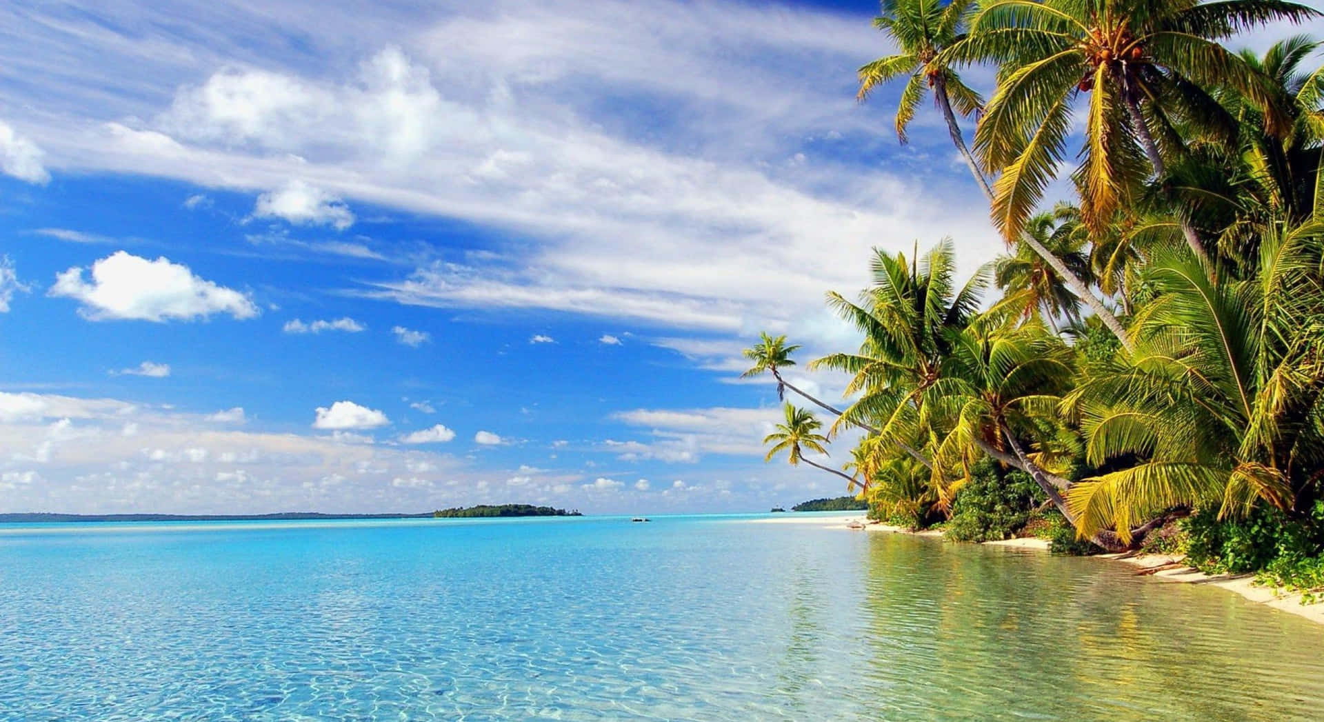 Take a relaxing stroll along a tropical beach.