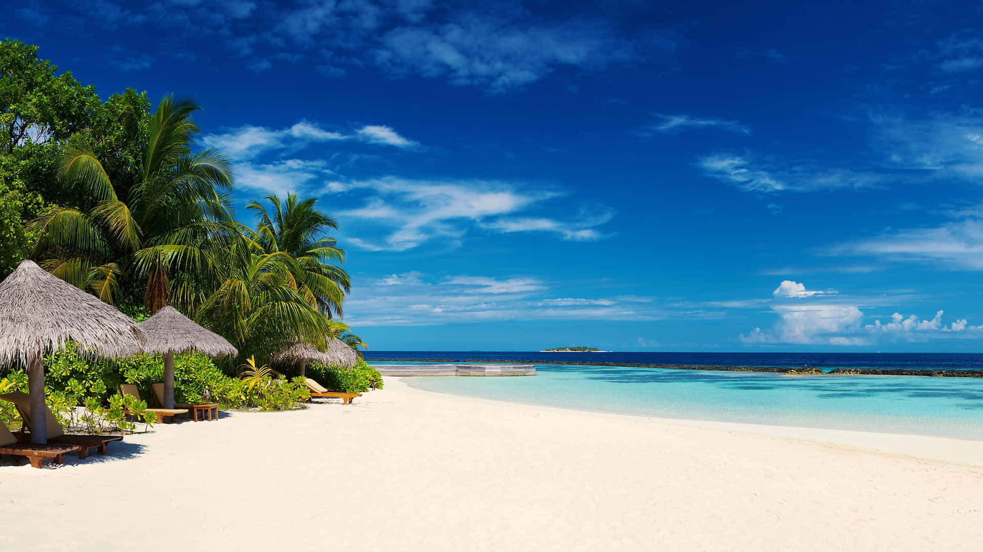 Relaxing on The Breezy Beach