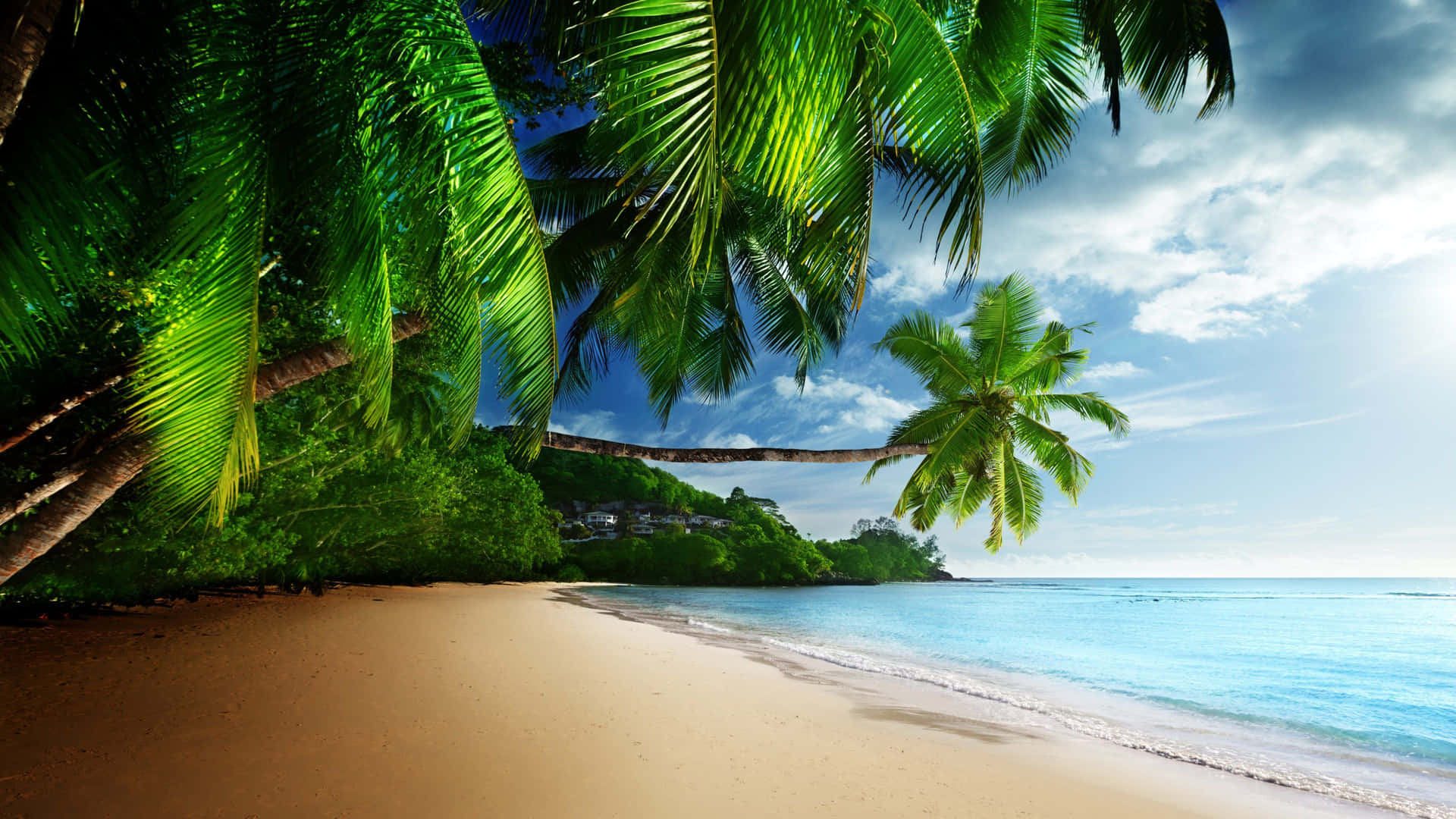Unaspiaggia Tropicale Con Palme E Un Cielo Azzurro