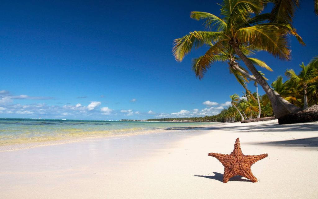 Tropical Beach Cute Starfish Wallpaper