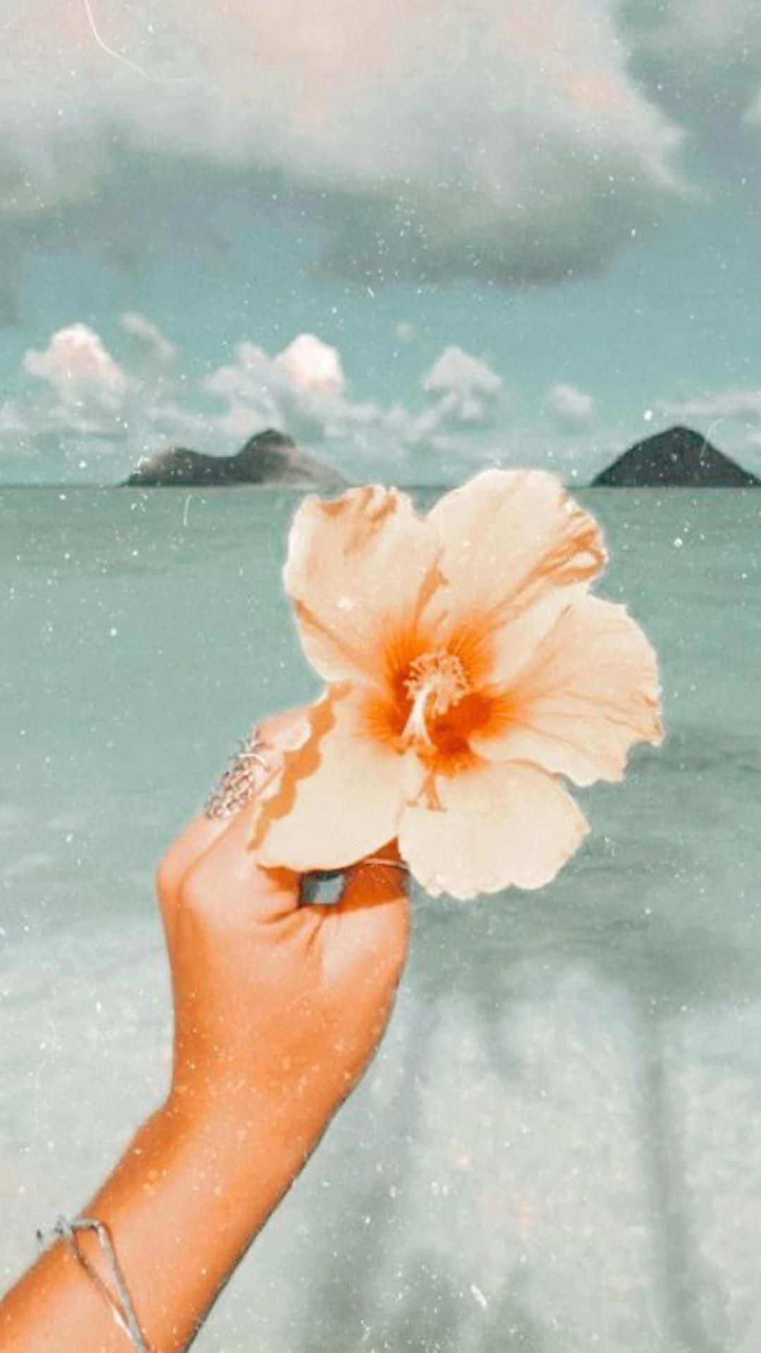 Tropical_ Beach_ Flower_ Hand.jpg Wallpaper
