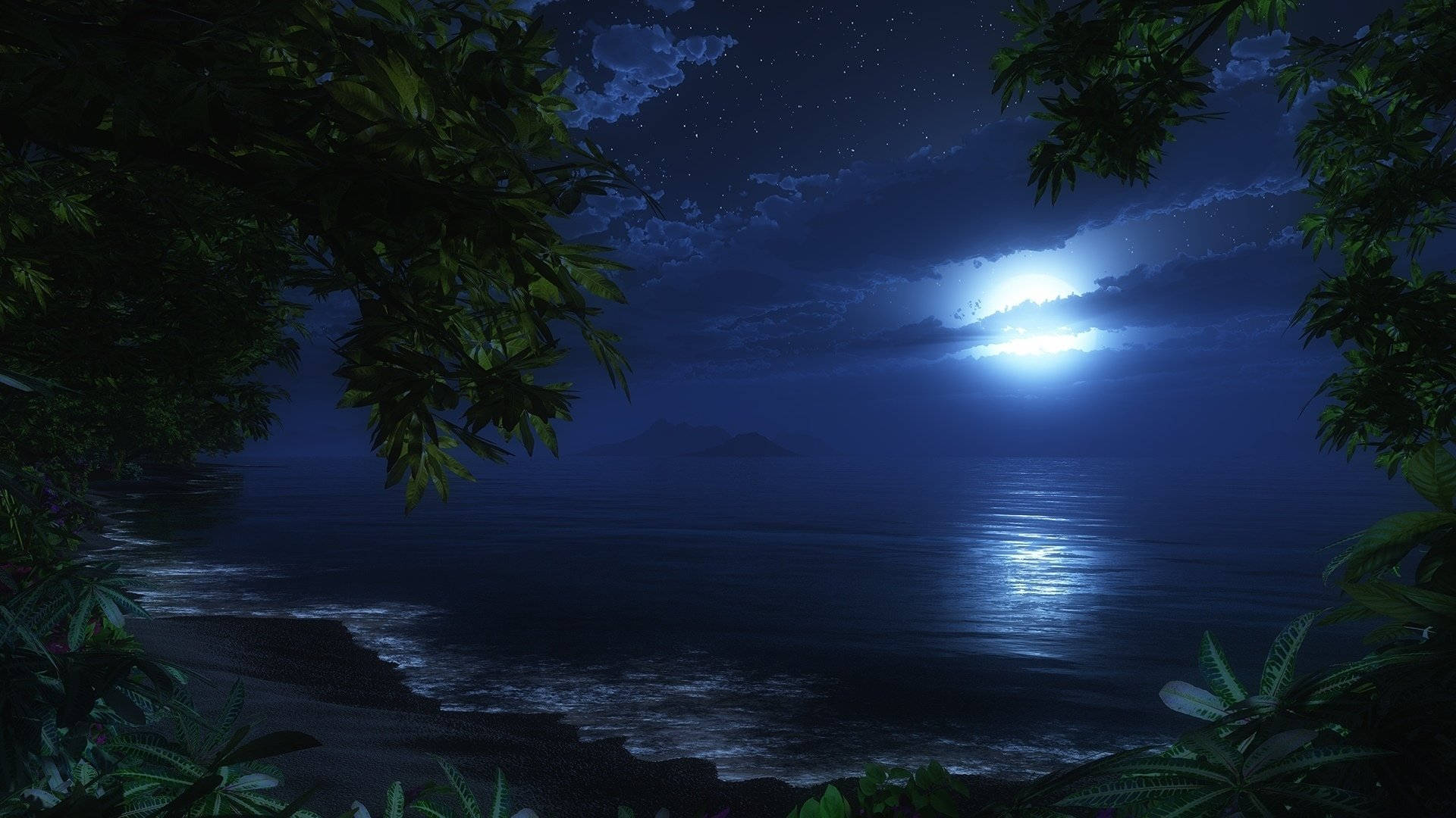 Playatropical Frente Al Mar Durante La Noche Fondo de pantalla