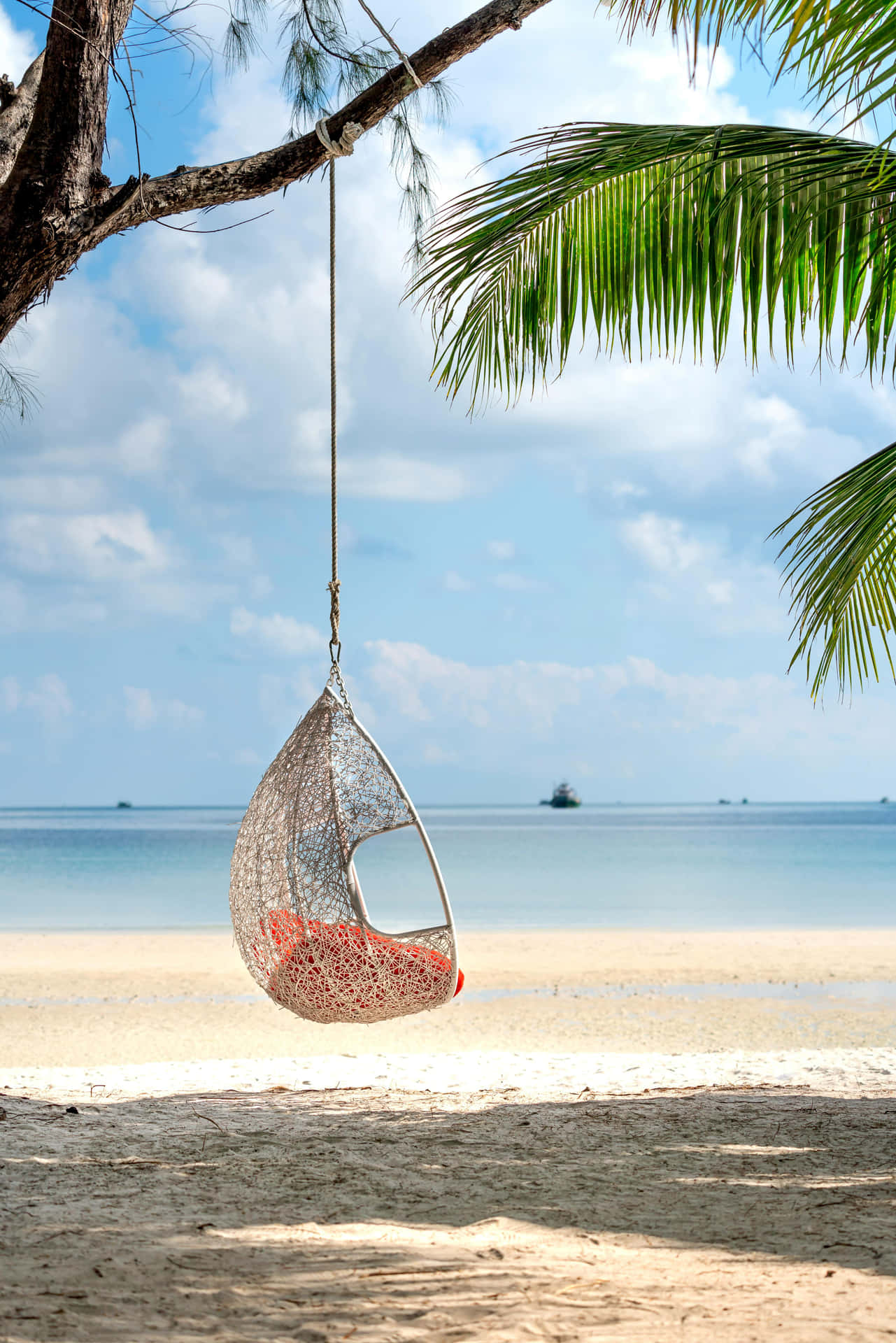 Tropical Beach Hammock Swing Wallpaper