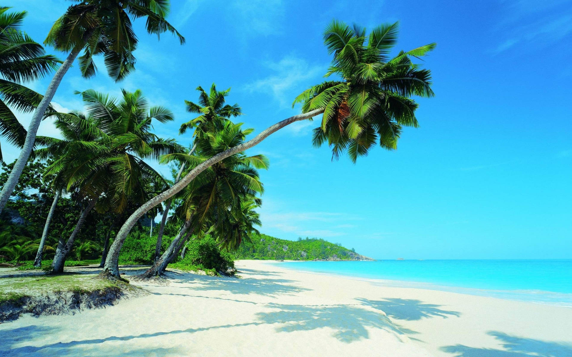 Tropisk strand naturlig paradis Wallpaper