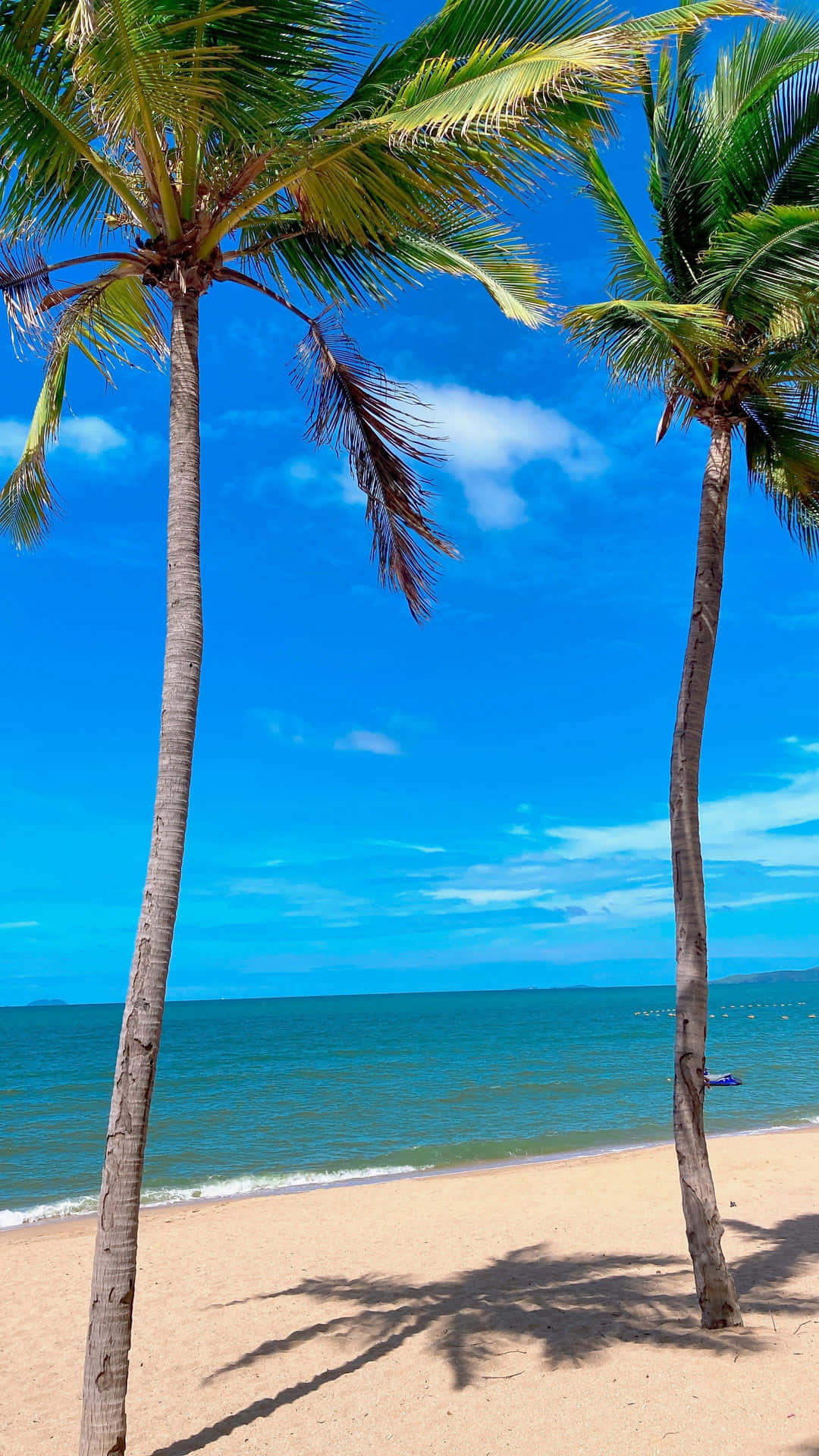 Tropical Beach Palms Sunny Day Wallpaper