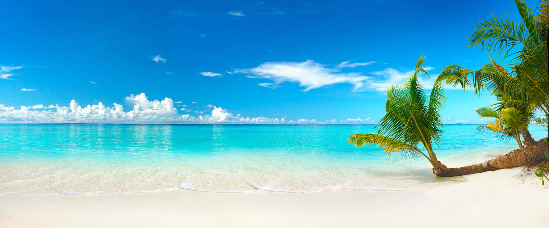 Tropical Beach Panorama Wallpaper