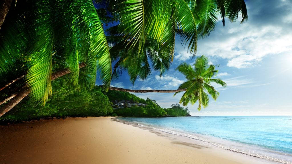 Tropical Beach Paradise 4k Desktop