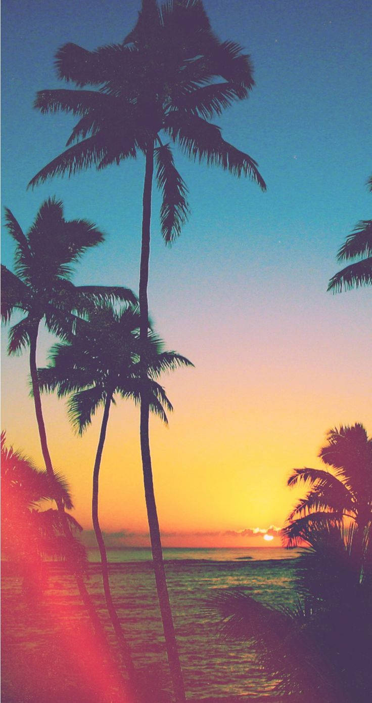 Tropical Beach Paradise Sunset Iphone