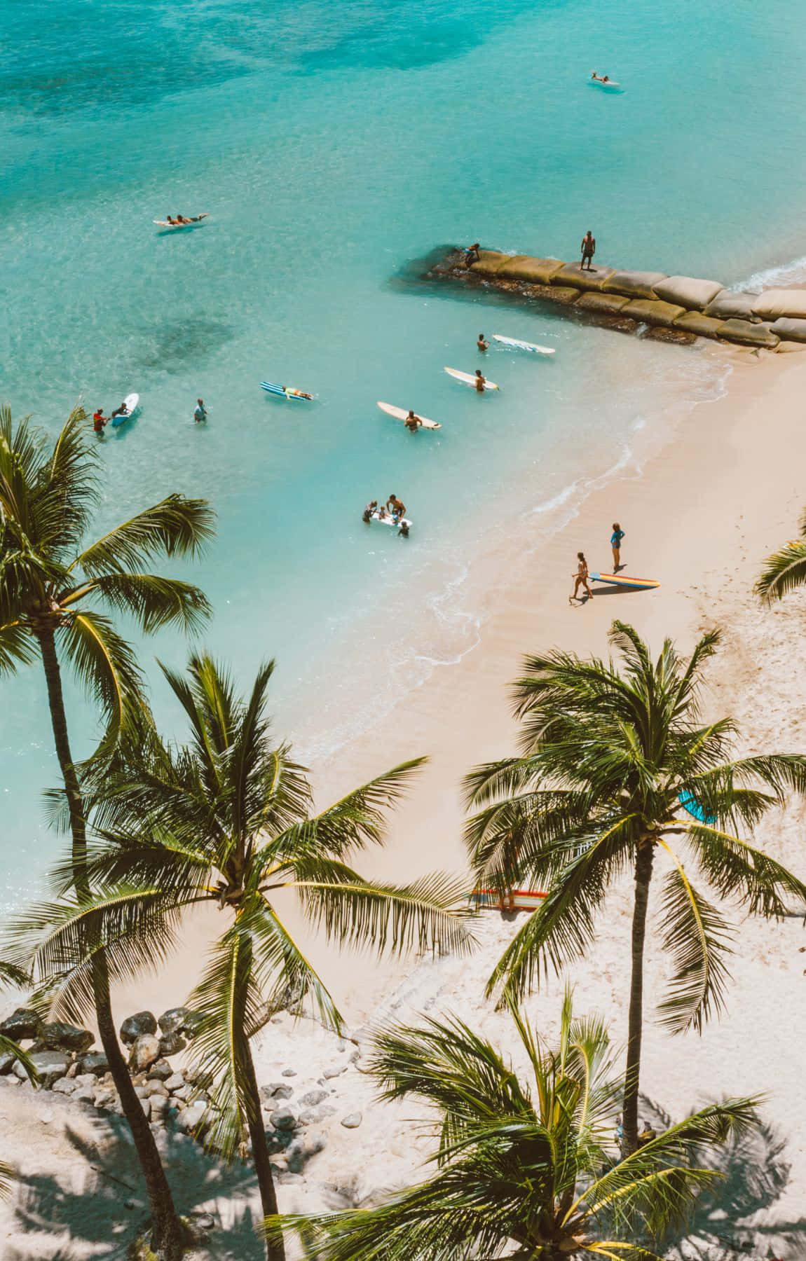 Tropical Beach Scene Coconut Trees Surfers Wallpaper