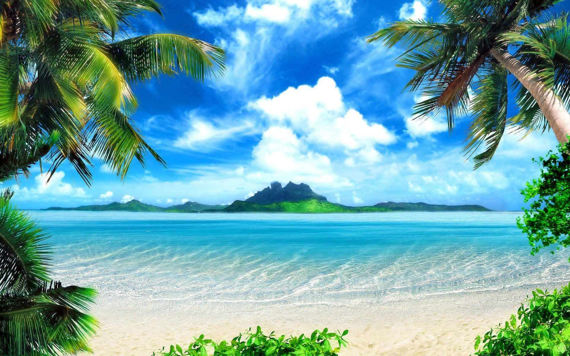 Tropical Beach Scene Studio Backdrop Picture