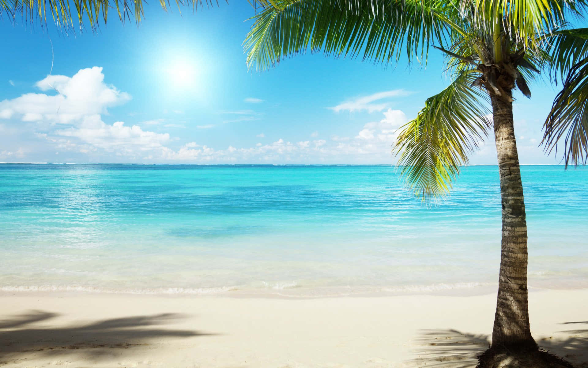 Tropical Beach Scene Summer Day Picture