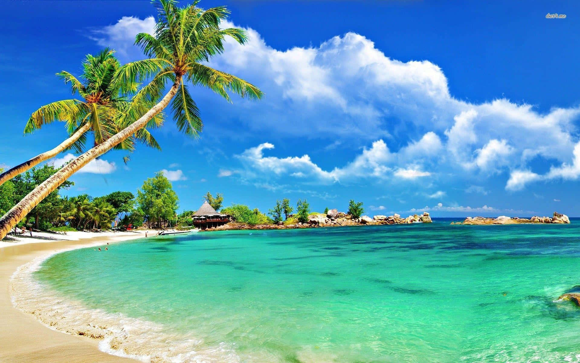 Disfrutadel Hermoso Paisaje De Una Playa Tropical. Fondo de pantalla