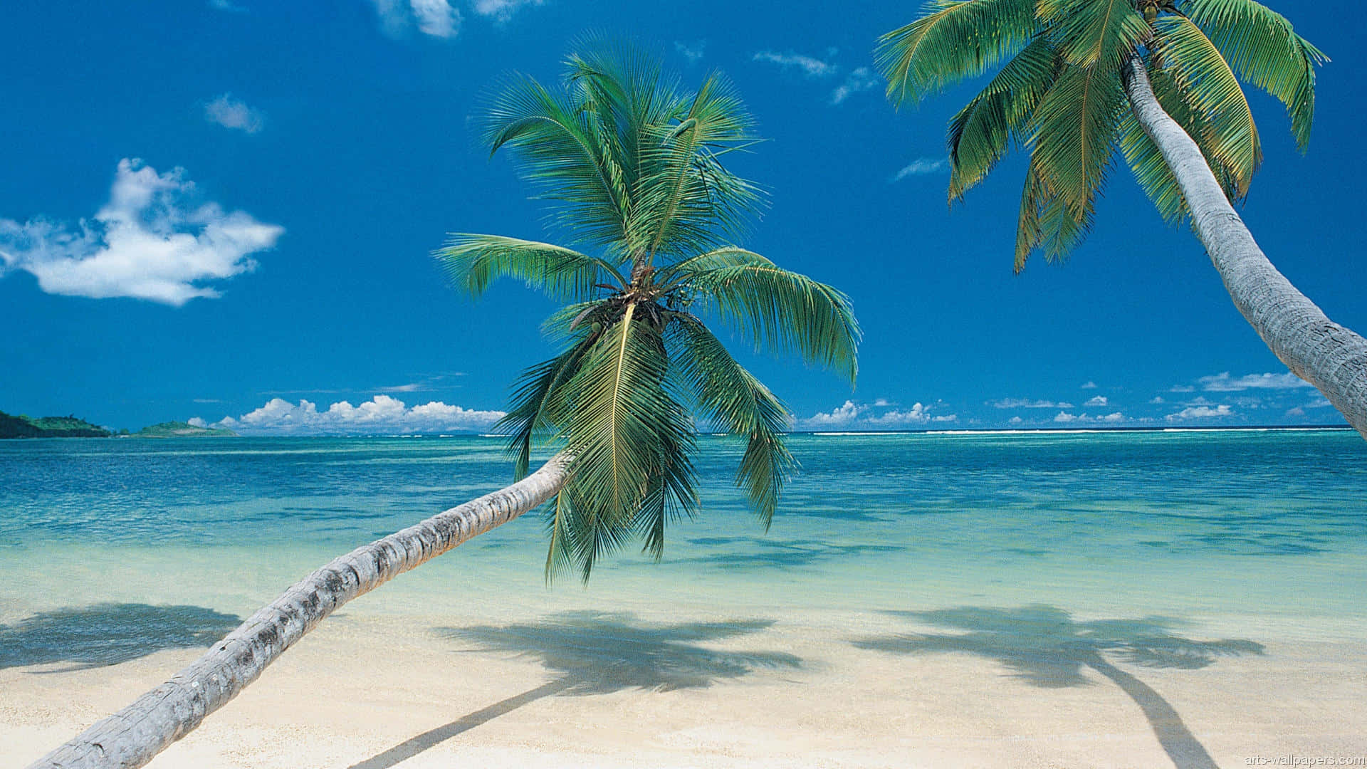 Tómateun Descanso De La Realidad Y Escapa A Esta Tranquila Playa Tropical. Fondo de pantalla
