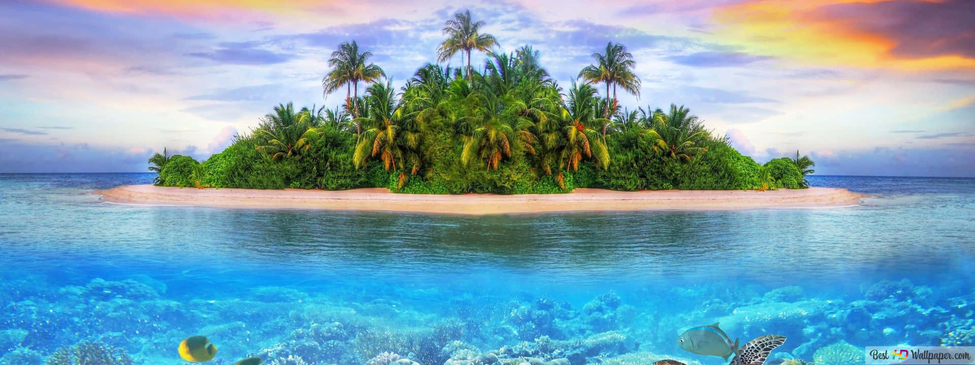 An Island With Palm Trees And Corals In The Ocean Wallpaper