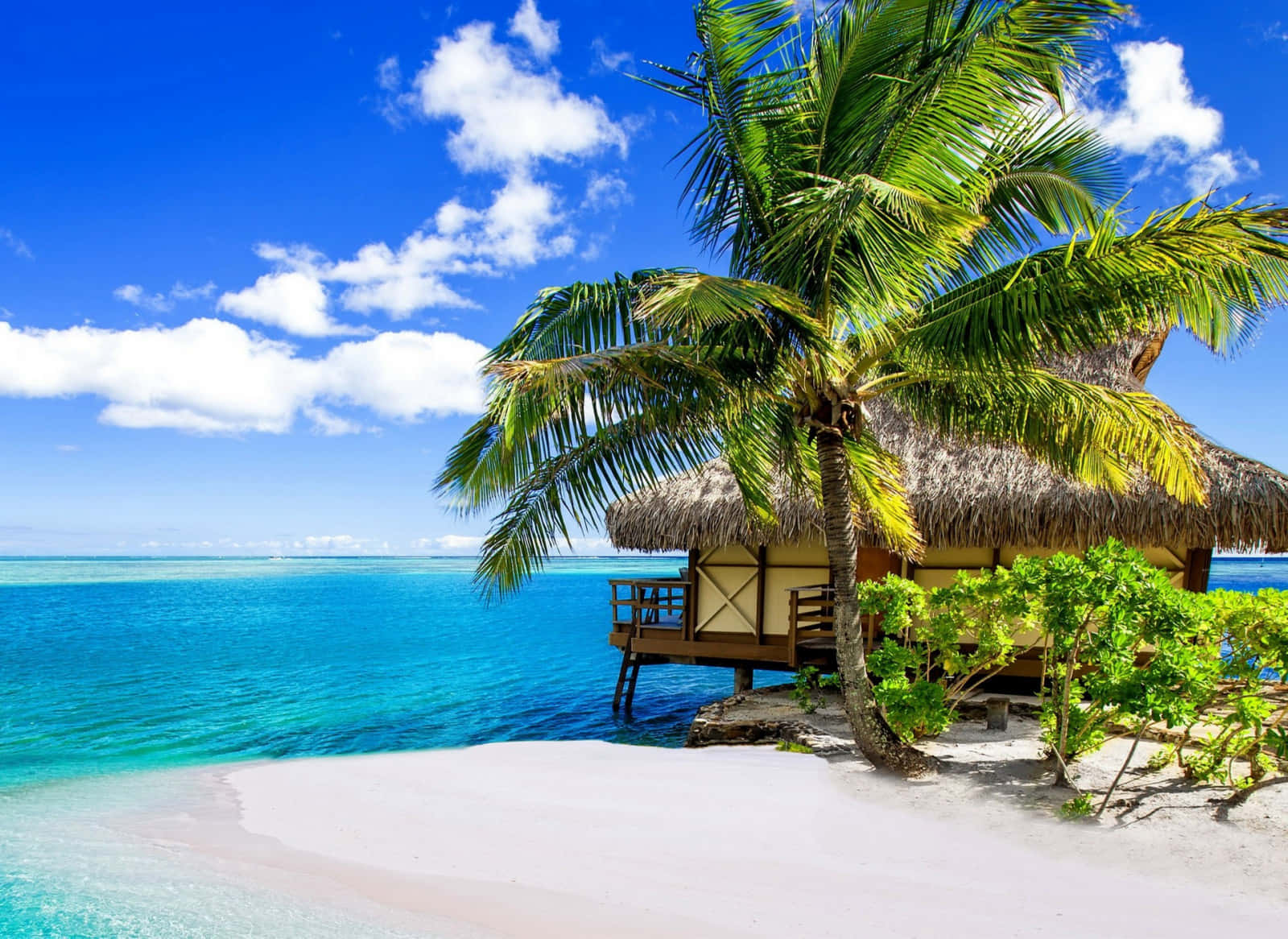 En tropisk strand med en palme og en hytte Wallpaper