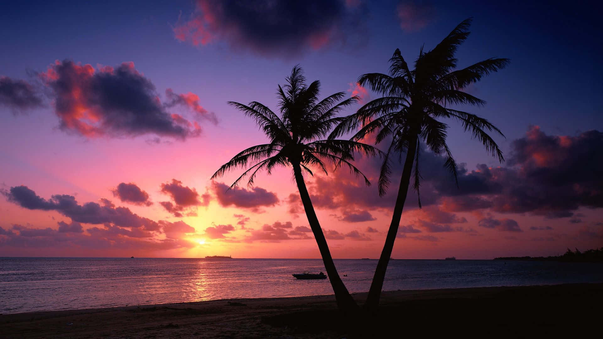 Two Palm Trees On A Beach With A Sunset Wallpaper
