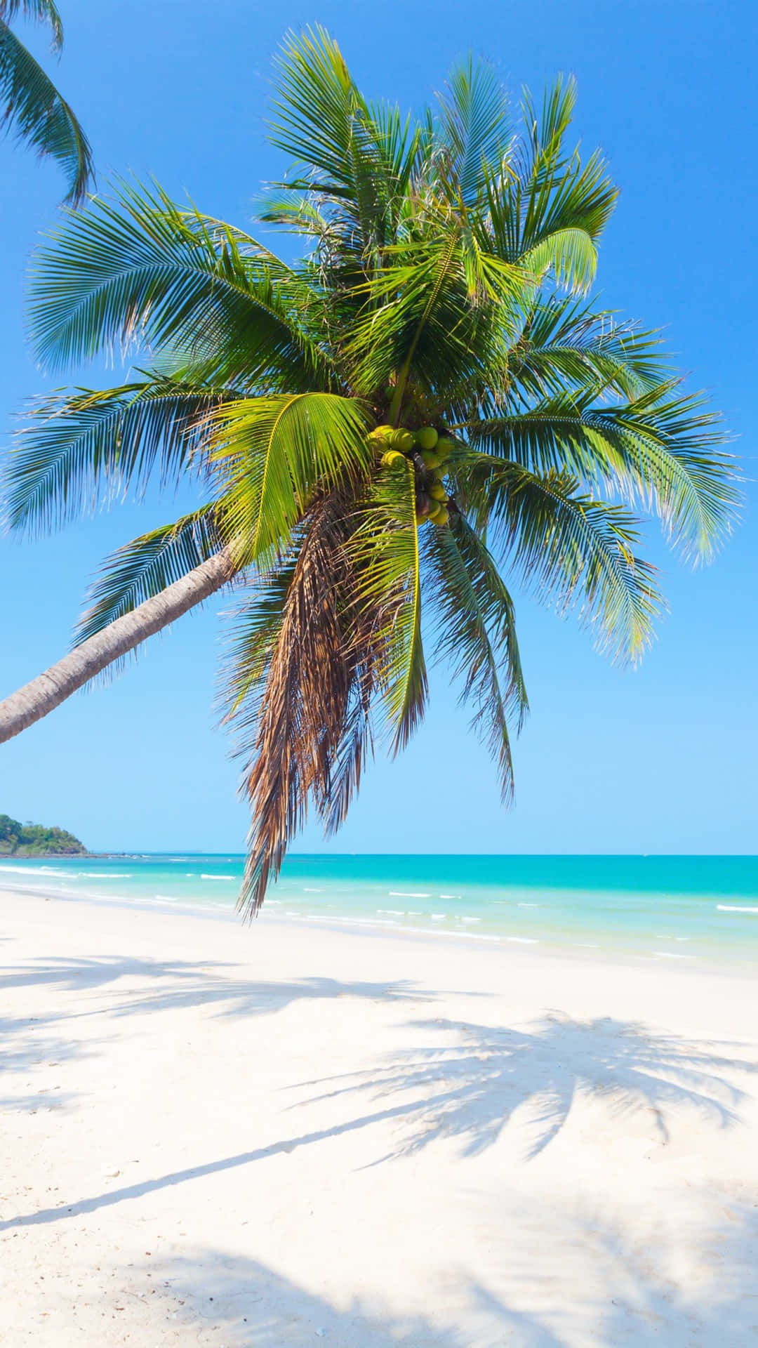 Relaxing on a white sand beach in the Caribbean Wallpaper