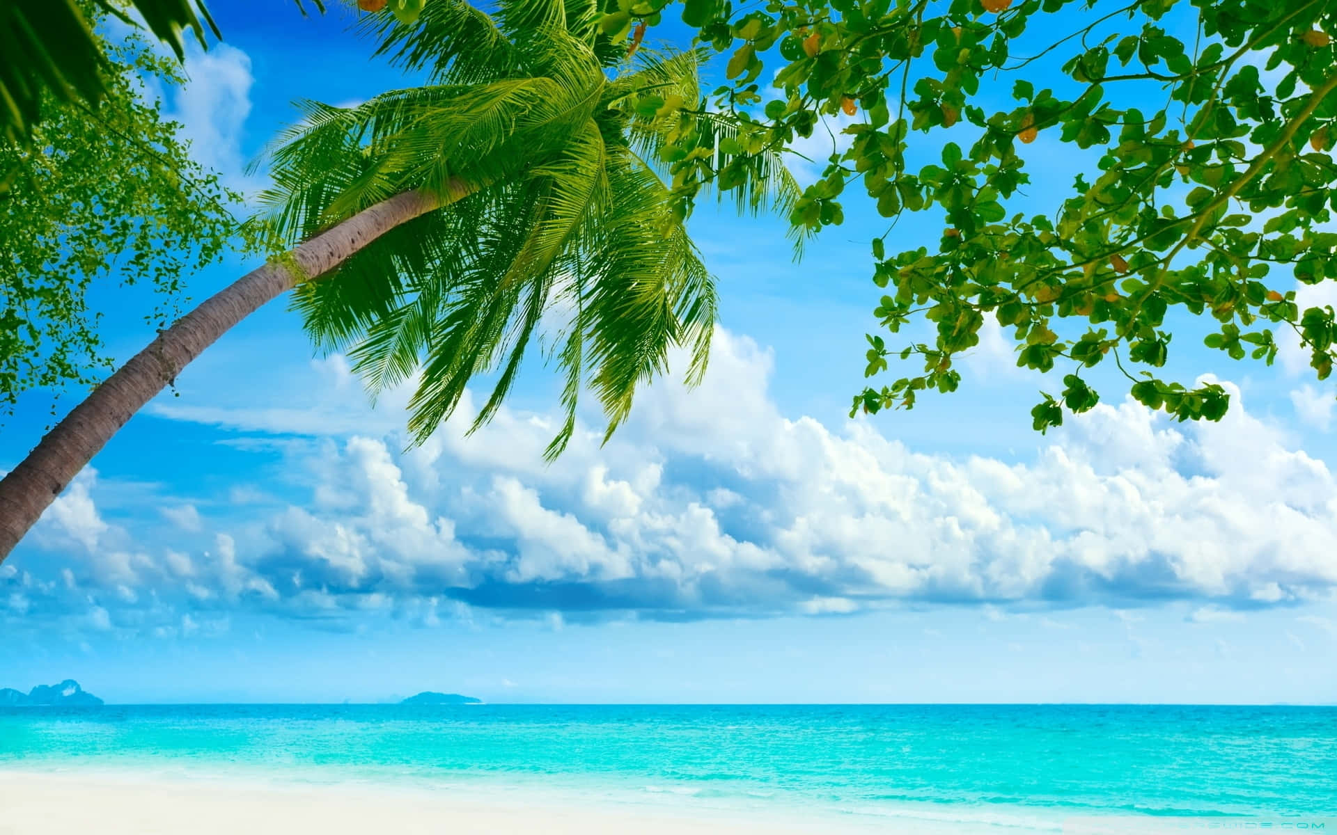 Eineeinfach Atemberaubende Tropische Strandkulisse Mit Strandhütten, Palmen Und Kristallklarem Wasser. Wallpaper