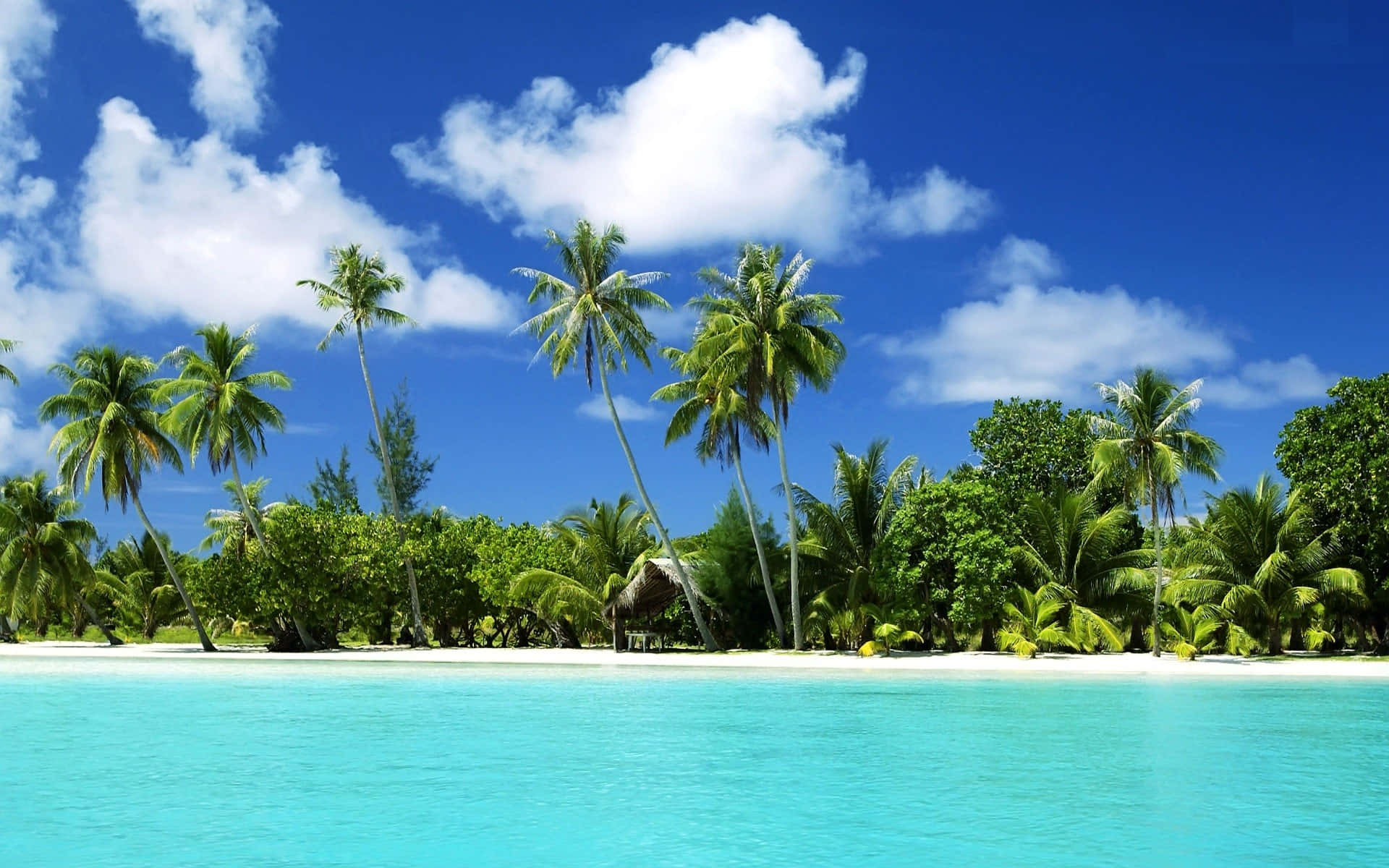 Imagenescena De Una Playa Tropical Serena Fondo de pantalla