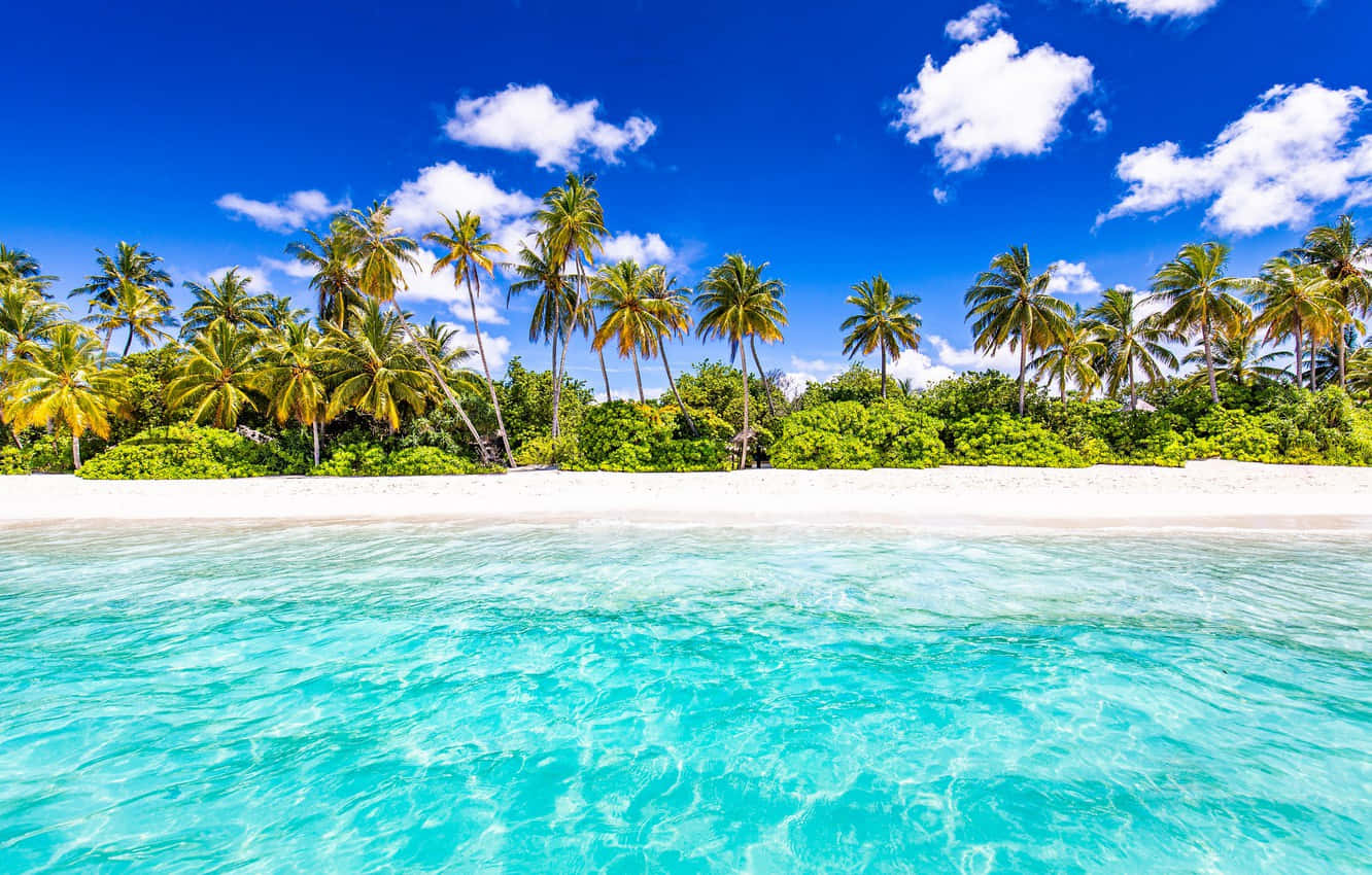 Relájatey Disfruta De La Vista En Una Serena Playa Tropical. Fondo de pantalla