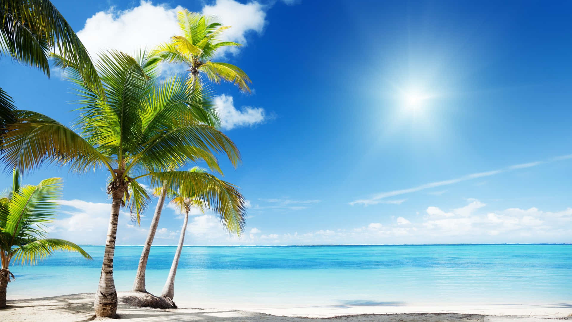 Take in the serenity of a tropical beach paradise Wallpaper