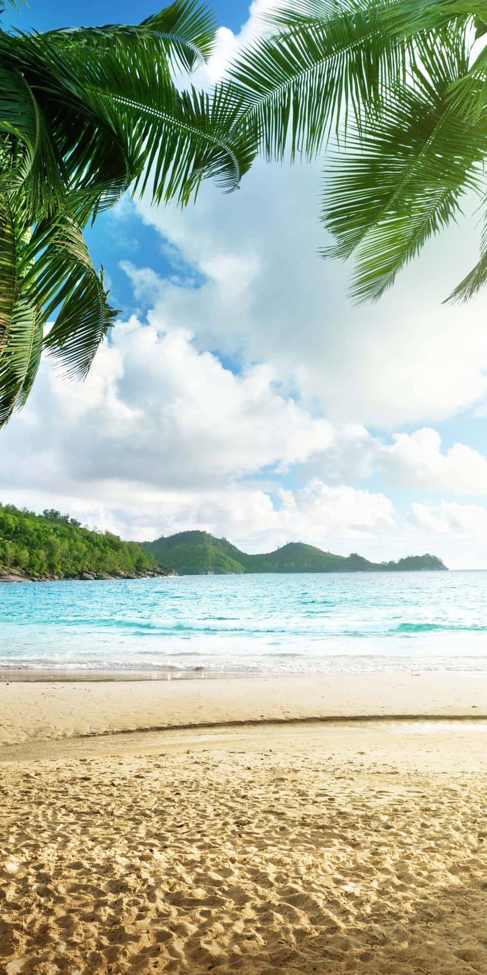 En tropisk strand med palmer og vand, der bølger op på stranden Wallpaper