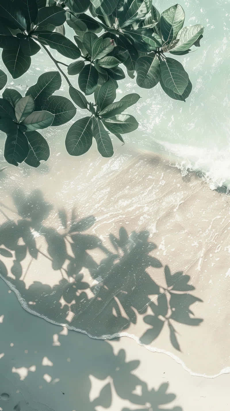 Tropical Beach Shadow Play Wallpaper