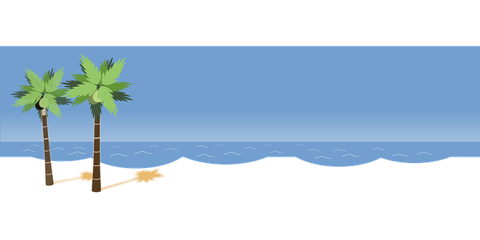 Tropical Beach Silhouette PNG