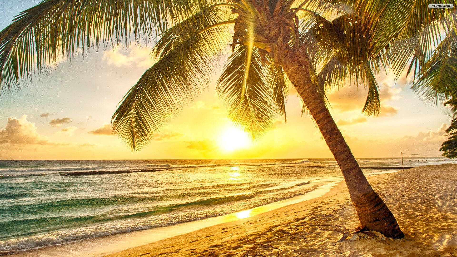 Tropical Beach Sunrise