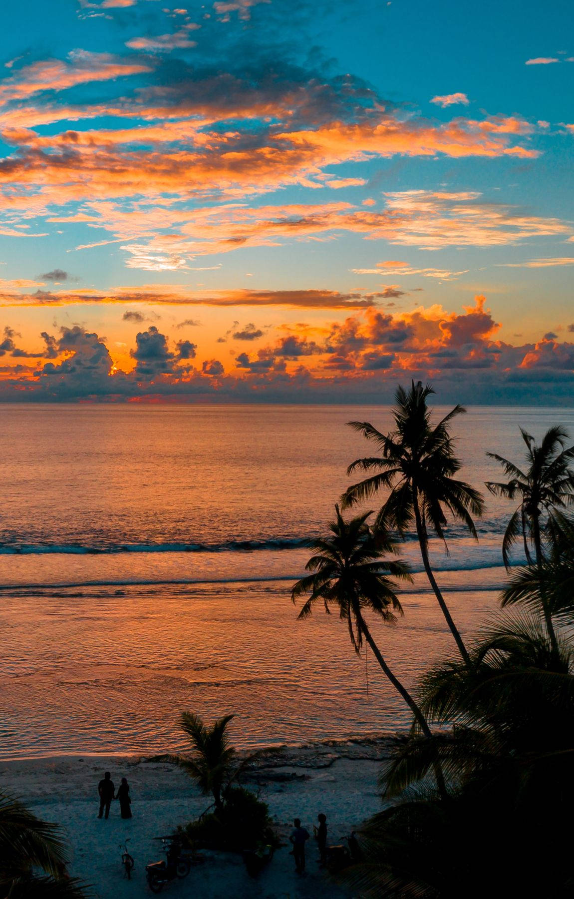 Tropical Beach Sunrise Silhouette Wallpaper