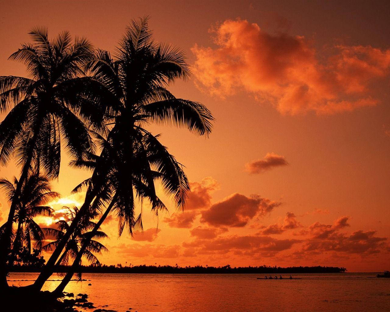 Mesmerizing Tropical Beach Sunset Wallpaper