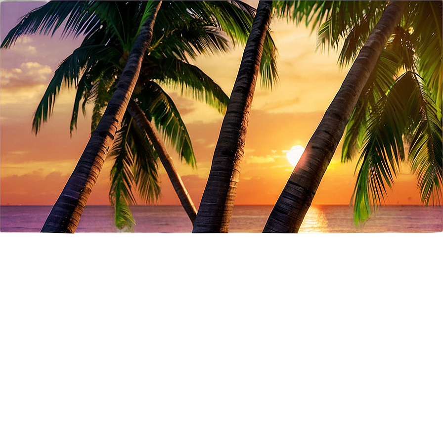 Download Tropical Beach Sunset Png Tnf25 | Wallpapers.com