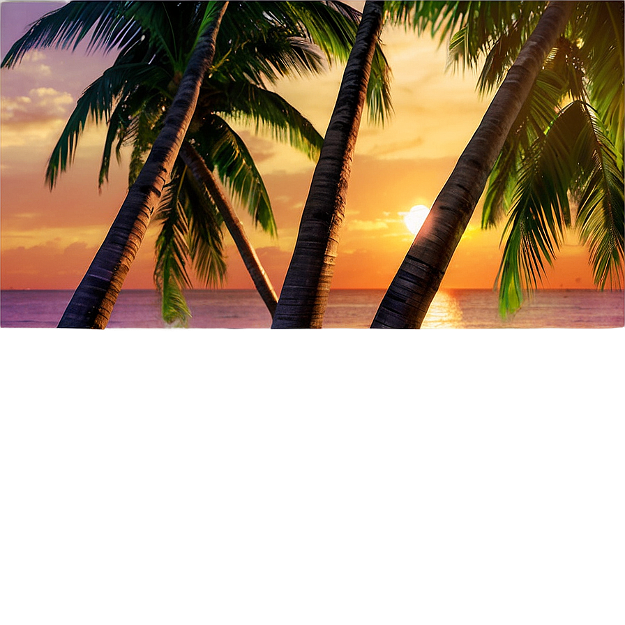 Tropical Beach Sunset Png Tnf25 PNG