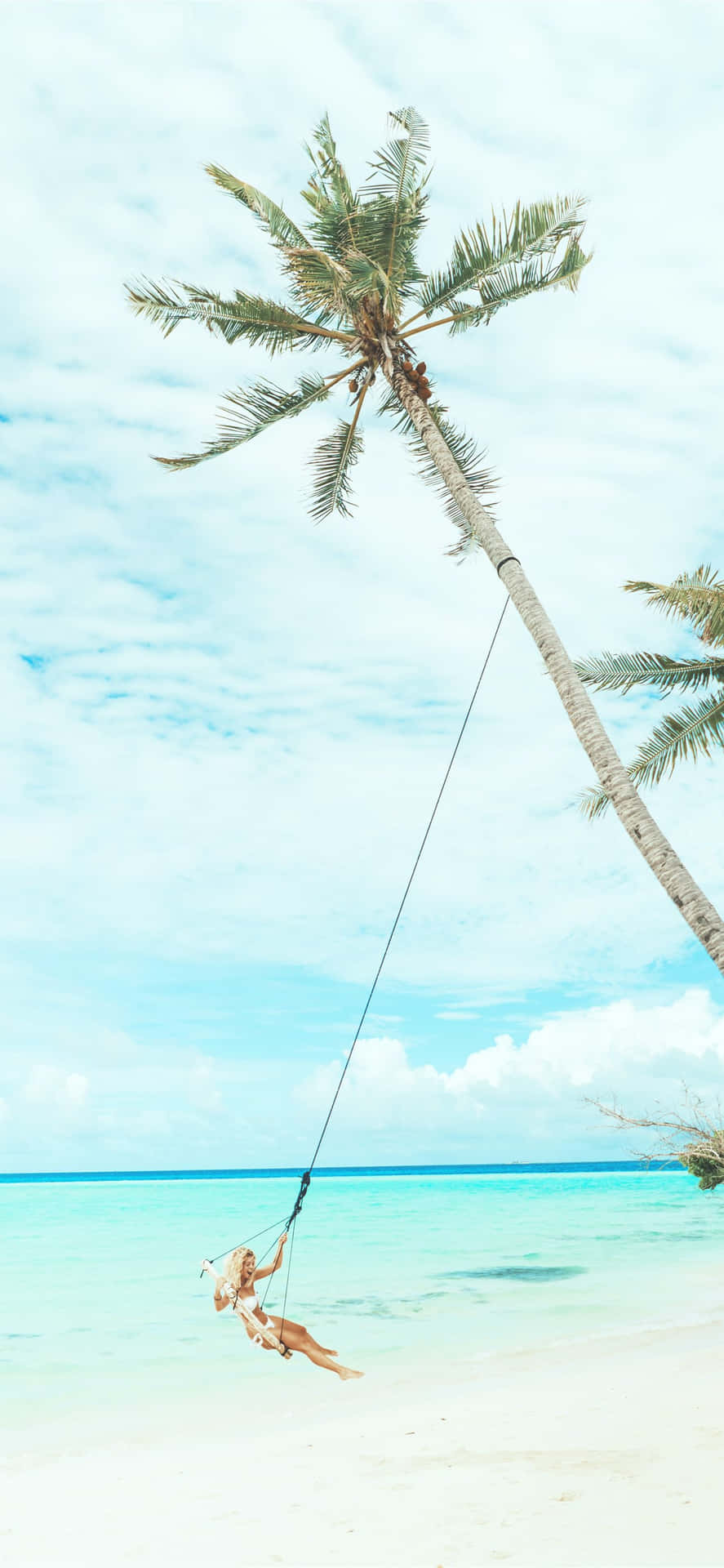 Tropical_ Beach_ Swing_ Coconut_ Girl_ Aesthetic.jpg Wallpaper