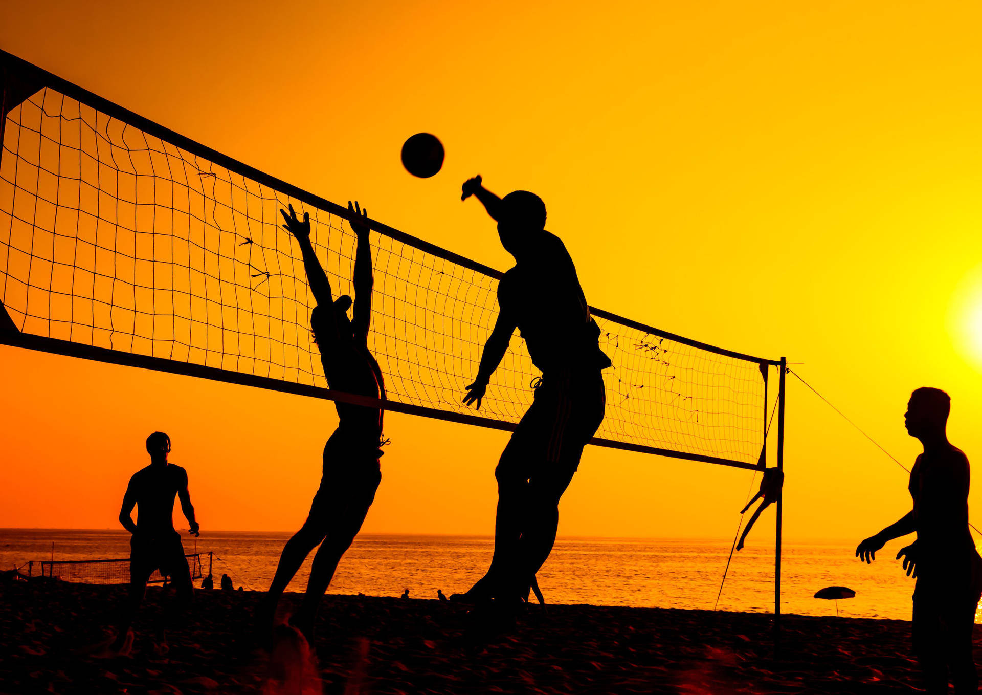 Tropical Beach Volleyball Men Silhouette Wallpaper