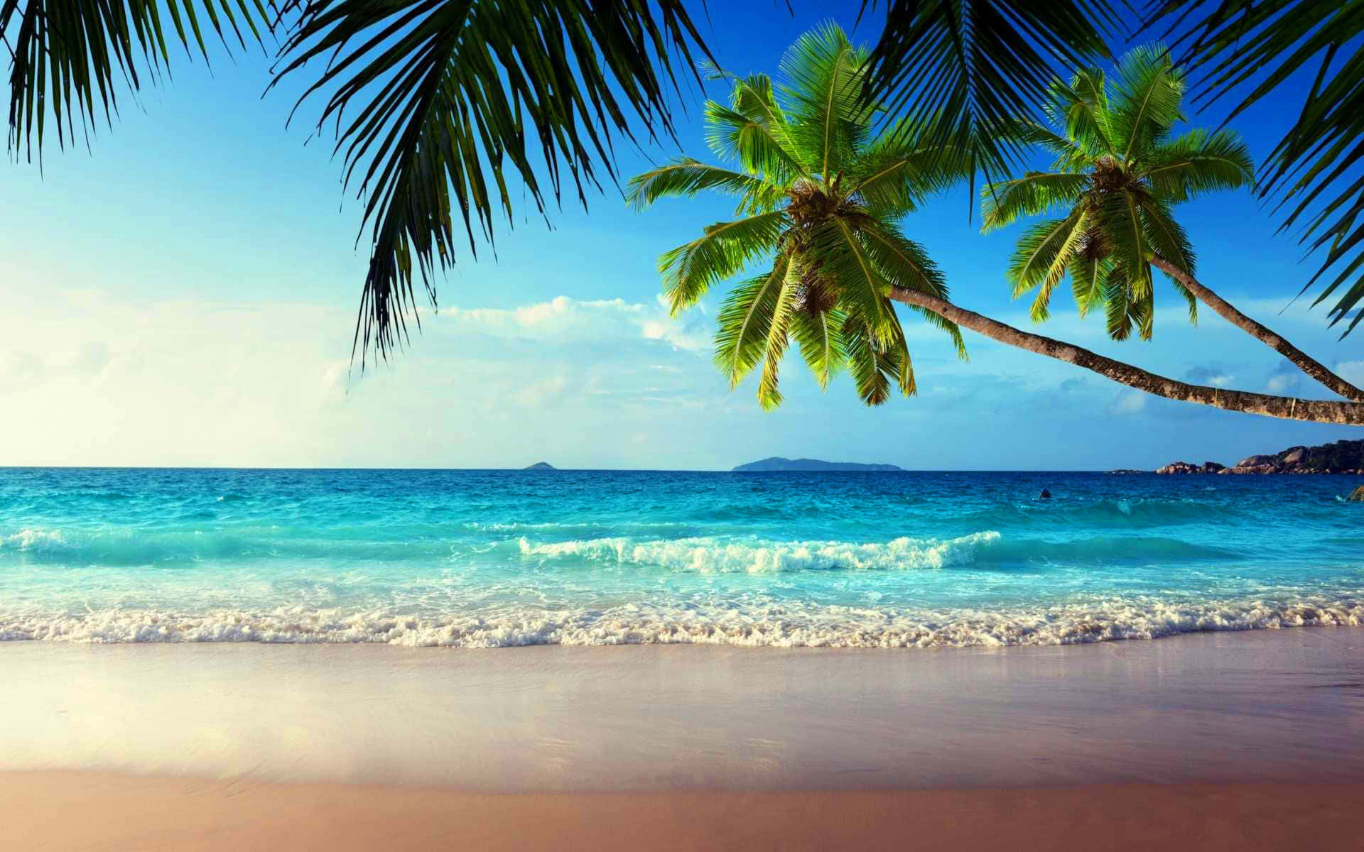 Tropical Beach With Palm Trees Ocean Waves Wallpaper