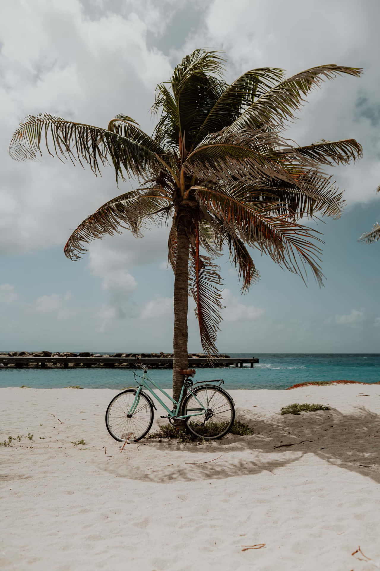 Tropical Beachside Bicycle Wallpaper