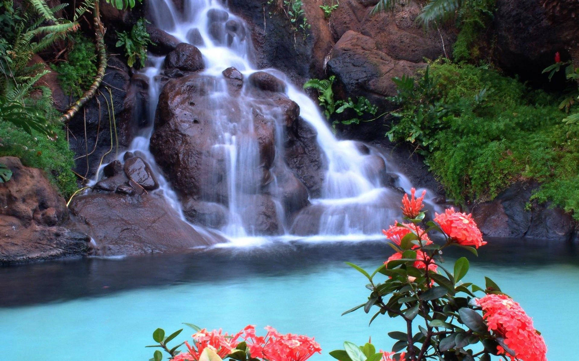 Tropical Beautiful Waterfall Wallpaper