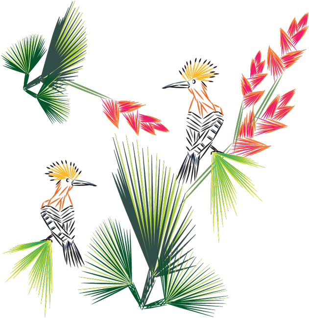 Tropical Cockatoos Floral Artwork PNG