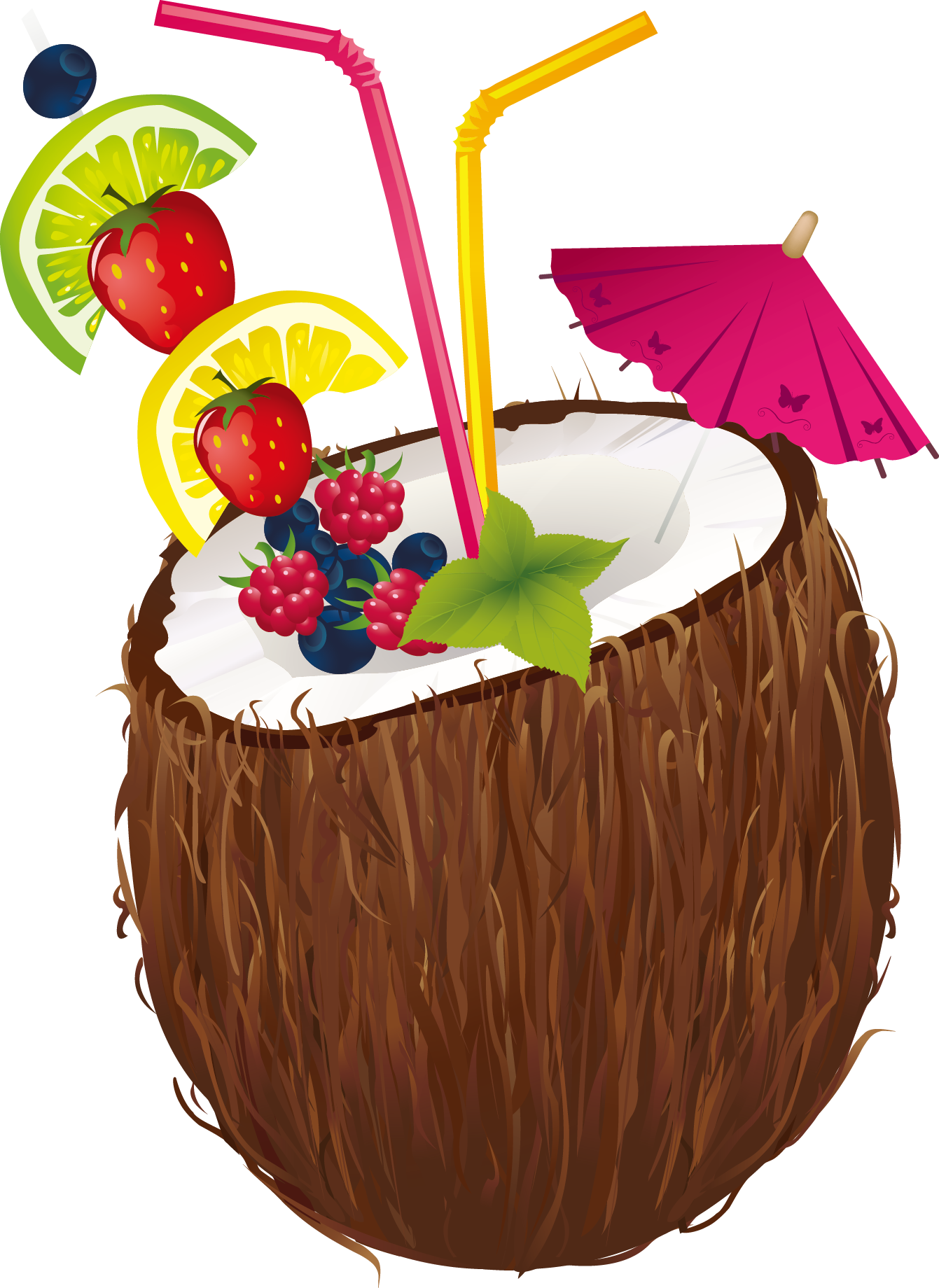 Tropical Coconut Drink Illustration PNG