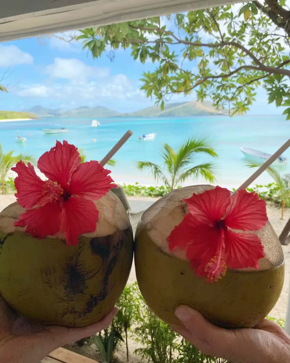 Tropical Coconut Drinkswith Hibiscus Wallpaper