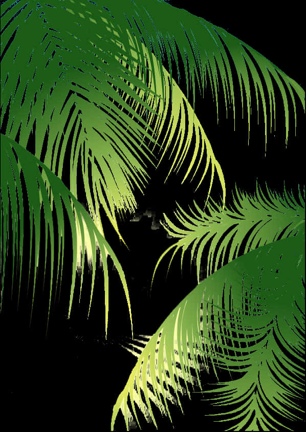 Tropical Coconut Palm Fronds Art PNG